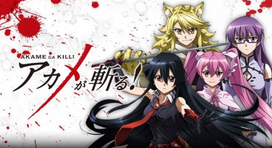 akamegakiru.image