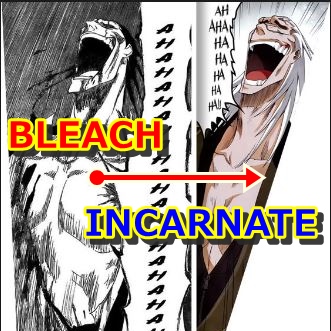 bleach＋incarnate